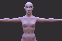 Frontskin1