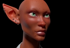 Face