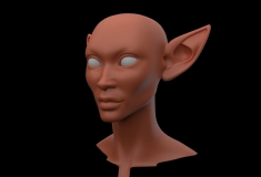 Head