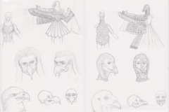 EagleTurkey