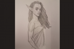 radisketches1