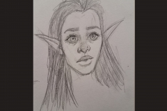 radisketches2